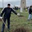 Международная акция «Сад памяти» 9 Международная акция «Сад памяти» 9