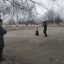 Песни для призывников 0