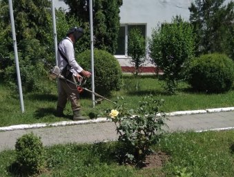 Работники КДЦ г. Малгобек произвели покос травы на собственной и прилегающей территории