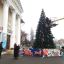 Работники ДК Сунженского района установили новогоднюю елку. 0