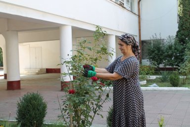 ​Работники КДЦ г. Малгобек провели субботник по благоустройству территории.