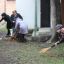 Субботник на избирательном участке № 10 ГДК г. Карабулак. 0