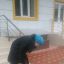 Субботник провели работники РДНТ 0