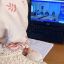 Сотрудники РДНТ Ингушетии приняли участие во всероссийском координирующем вебинаре «Традиции: из прошлого в настоящее и будущее» 1 Сотрудники РДНТ Ингушетии приняли участие во всероссийском координирующем вебинаре «Традиции: из прошлого в настоящее и будущее» 1